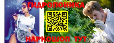 СК Ачхой-Мартан
