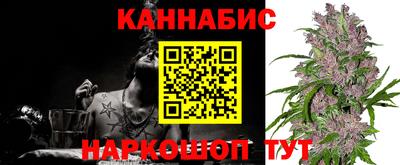 СК Ачхой-Мартан