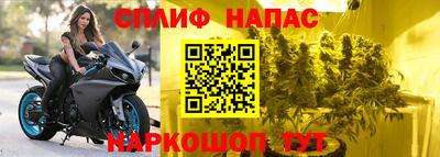 эйфоретик Аша