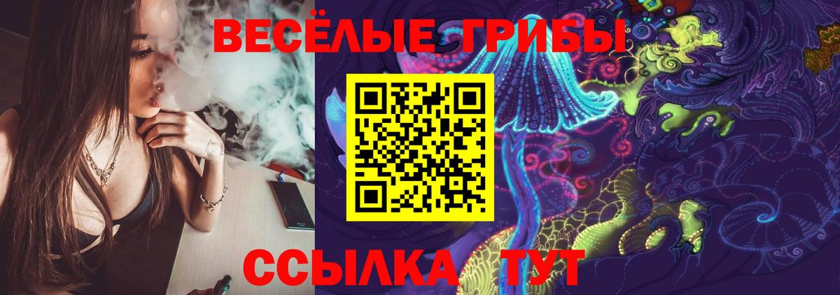 Галлюциногенные грибы ЛСД  Вход с VPN  Гусь-Хрустальный 